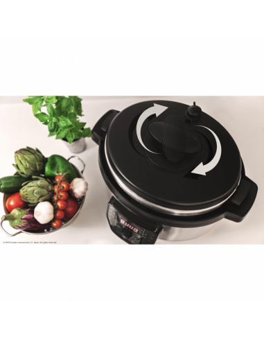 OLLA PROGRAMABLE GM MODELO H DELUXE